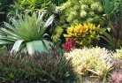 Sandy Gully NSWplanting-garden-and-landscape-design-24.jpg; ?>