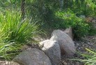 Sandy Gully NSWplanting-garden-and-landscape-design-3.jpg; ?>